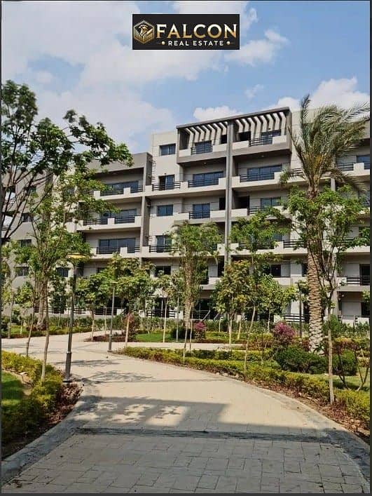 6 c426aa54-332c-4f67-b664-0921516eafbb. jpg