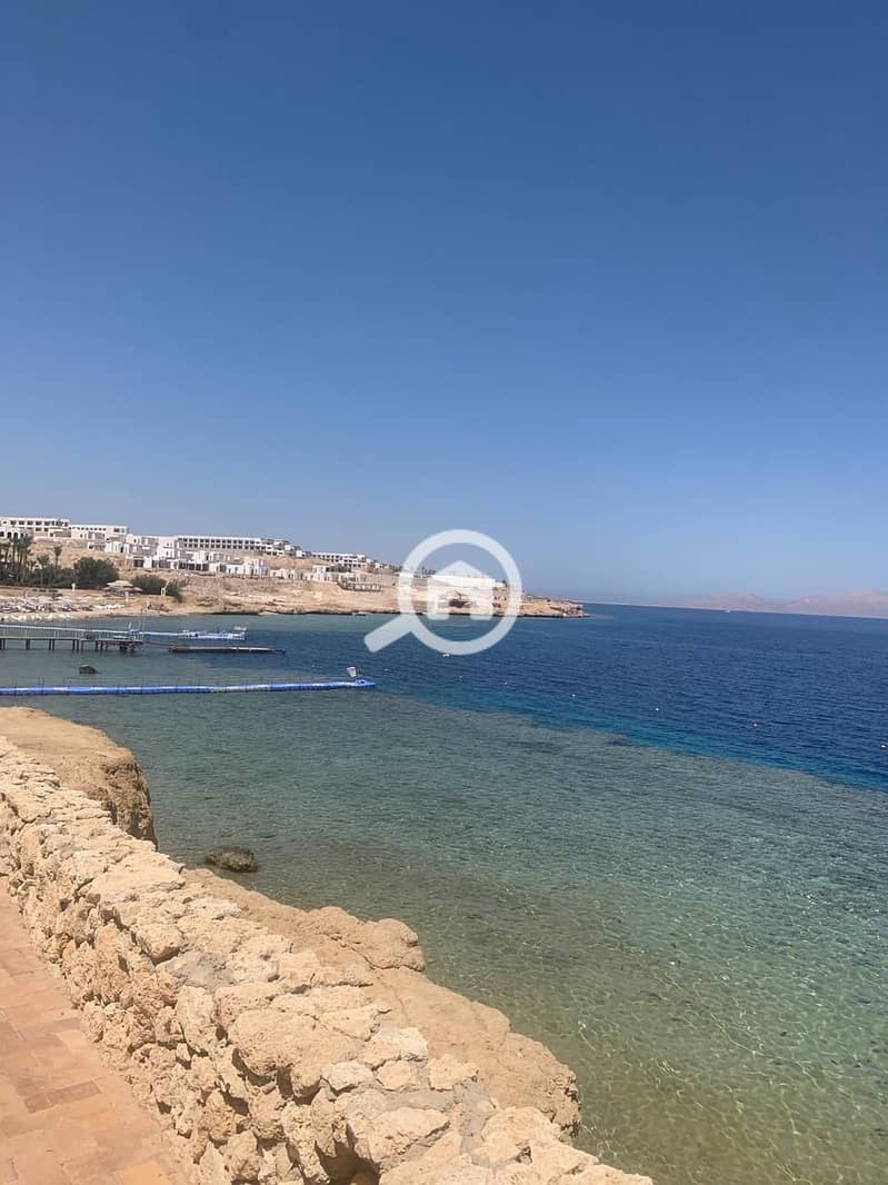 6 1a16222e-fd68-471b-98d6-403516c9d1a3. jpg