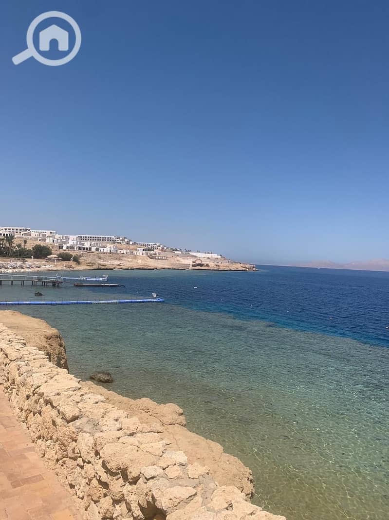 6 1a16222e-fd68-471b-98d6-403516c9d1a3. jpg