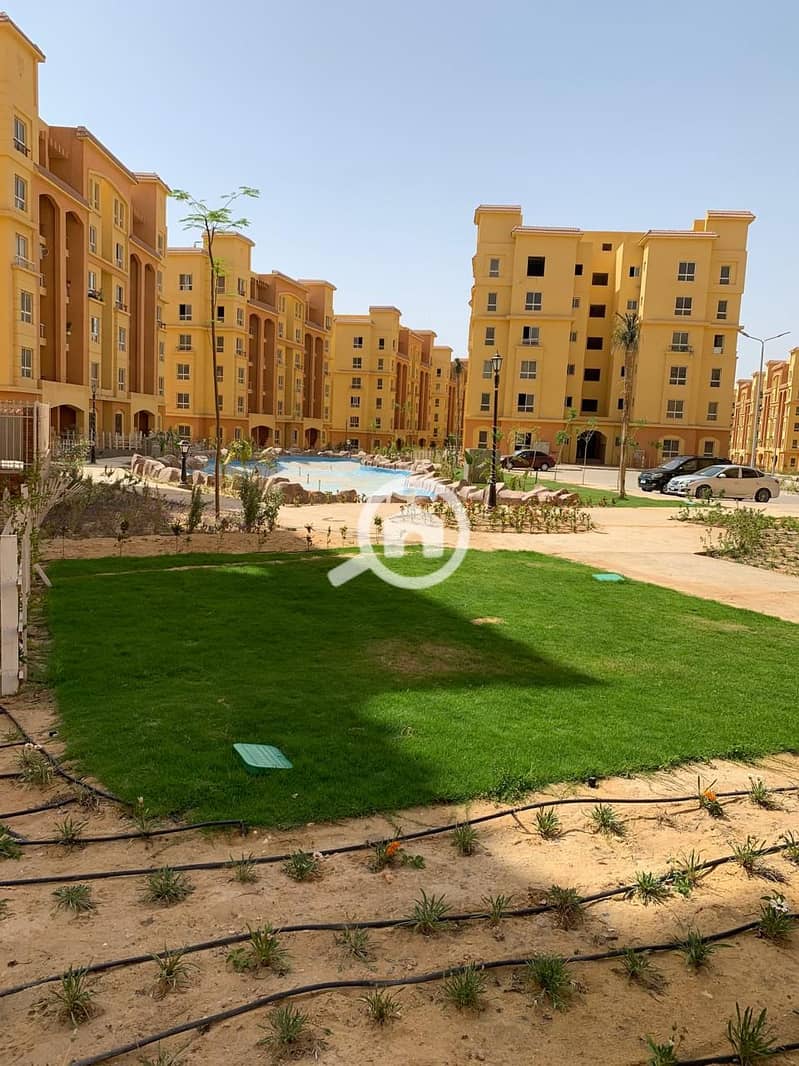 14 WhatsApp Image 2025-10-22 at 16.15. 15_b2c3b671. jpg