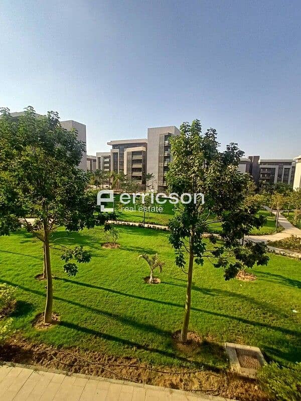 8 591747194_122157437378840299_7927879432293840584_n. jpg