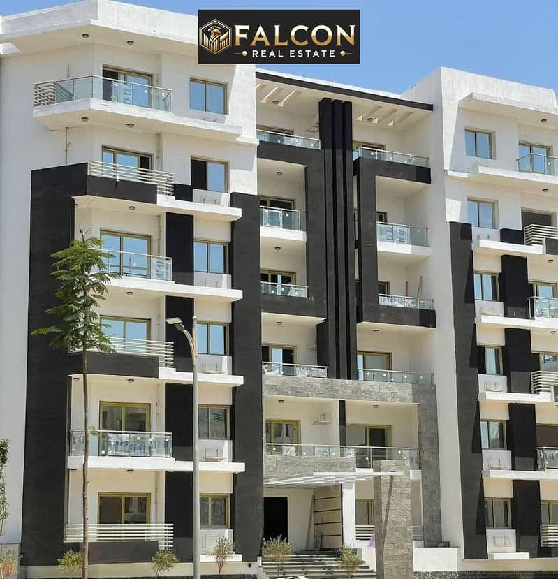 4 WhatsApp Image 2024-12-10 at 16.29. 52_2cc5a4c5. jpg