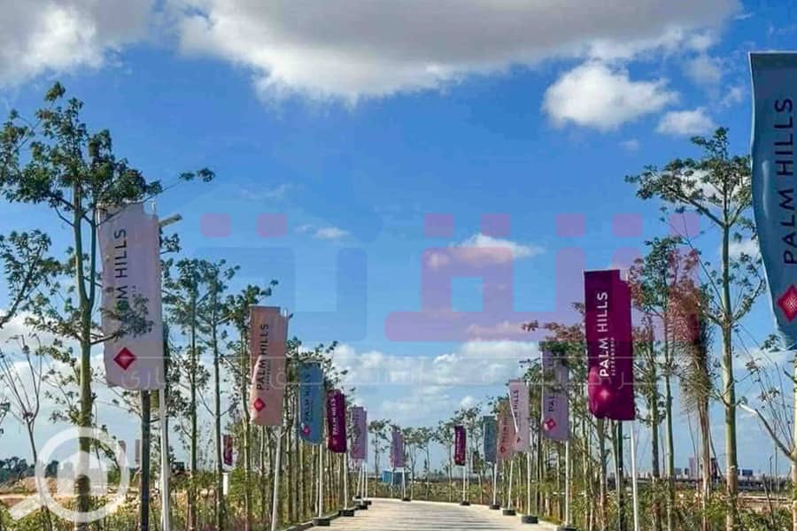 7 WhatsApp Image 2025-08-20 at 2.51. 36 PM. jpg