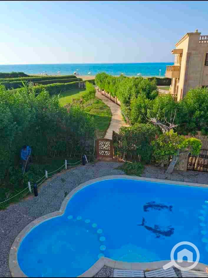 1000411038. jpg 1000411038. jpg