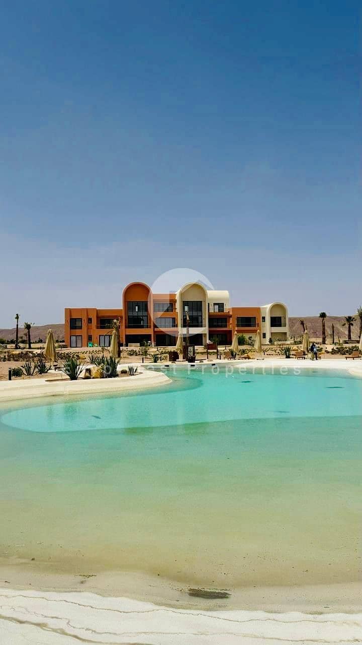 4 0c772ad2-2552-451e-a4f1-9e01e9528f83. jpeg