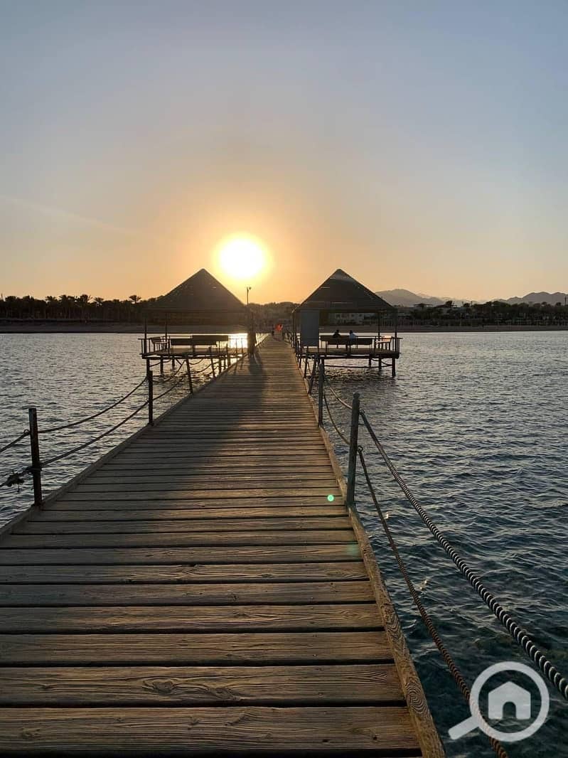 2 2f184a98-6ec6-429c-bf4d-5daba179c3ea. jpg