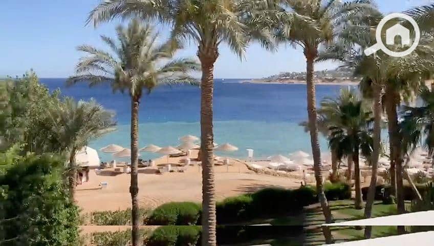 4 3d549070-cd84-423e-b60c-fdc884ba6ee8. jpg