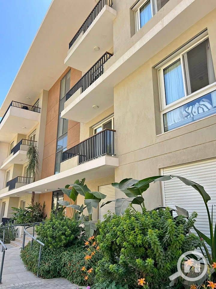 11 504032791_4122211091432595_168572631490509189_n. jpg