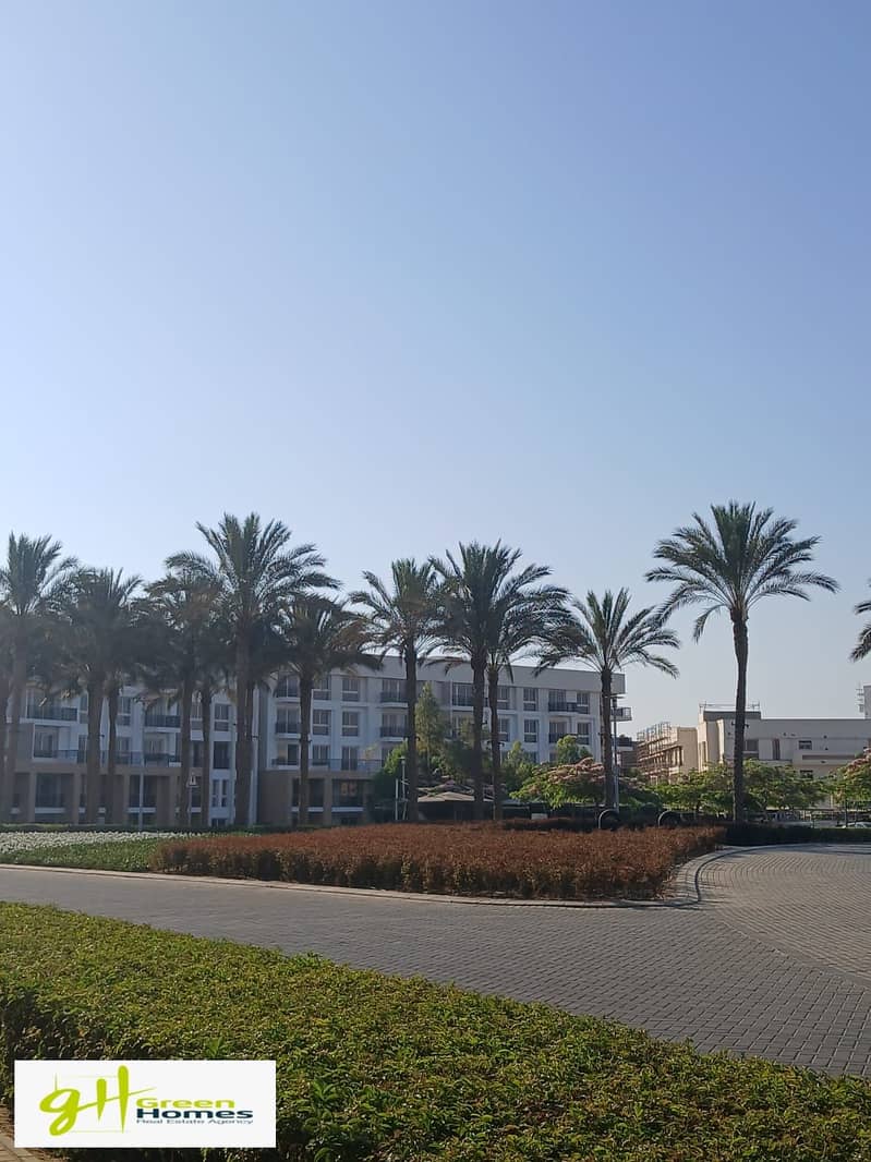 13 WhatsApp Image 2025-10-27 at 1.13. 50 PM (4). jpeg