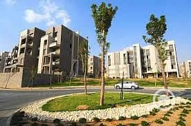 5 images (16) (5). jpeg