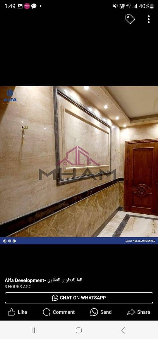 9 photo_5866352129050610690_y. jpg