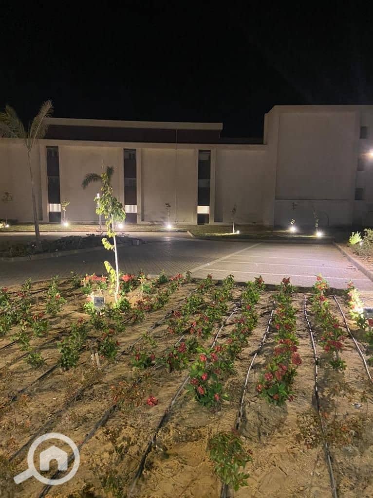 4 WhatsApp Image 2025-10-12 at 2.05. 00 PM (3). jpeg