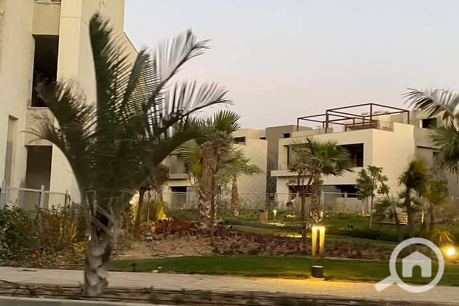 5 Background (2). png