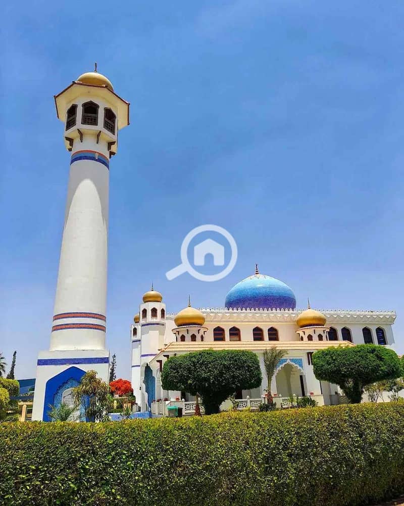 14 a705f9e7-afdb-4414-9805-53cc4c84e58e. jpg