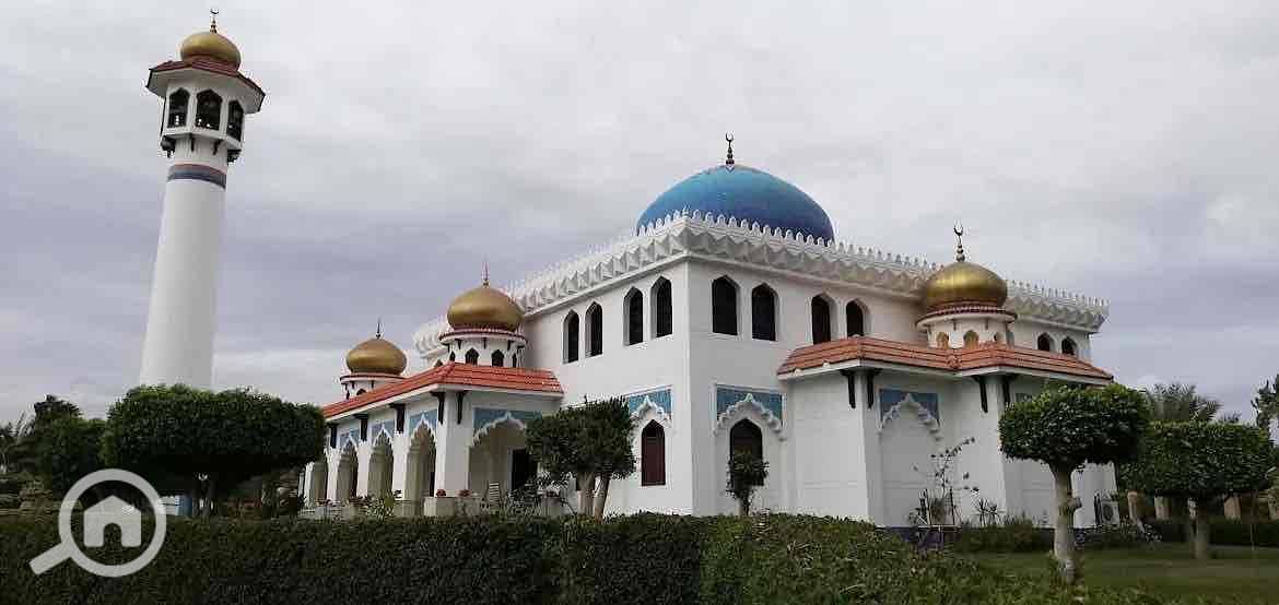 17 829de1cc-e07a-4fb3-8a73-68fee871e06c. jpg