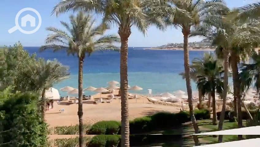 2 3d549070-cd84-423e-b60c-fdc884ba6ee8. jpg