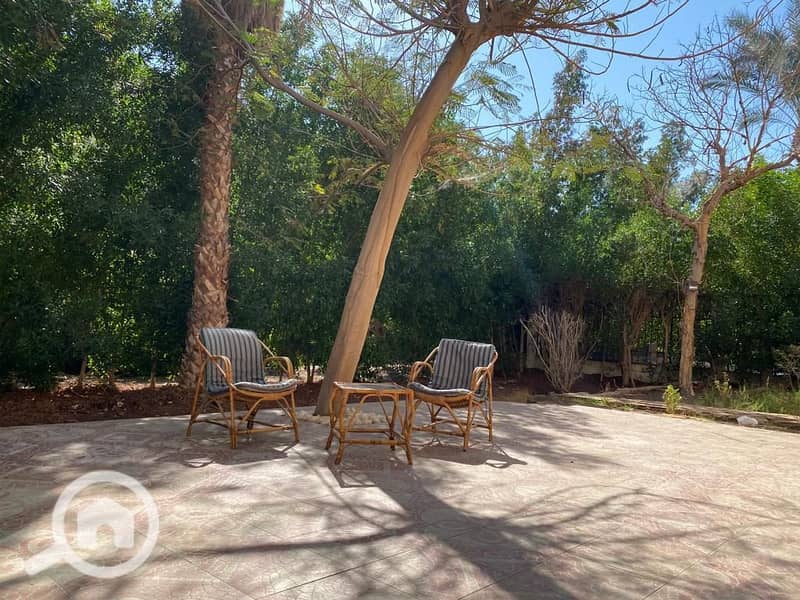 9 45ce447f-1e66-47ec-89cd-fbf3f369940f. jpg