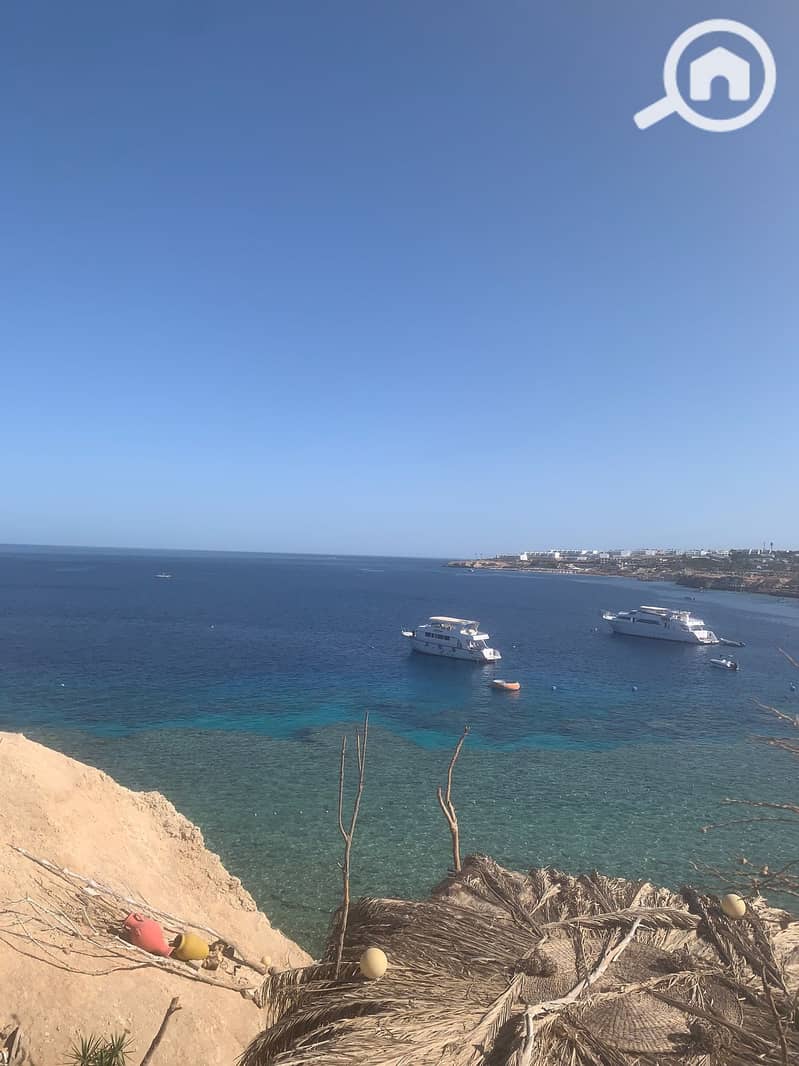 14 ed995eb3-f8e2-4abe-8f31-5f88011213a6. jpg