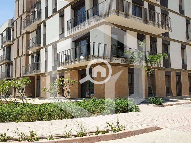 12 Courtyard Sodic 12. jpg