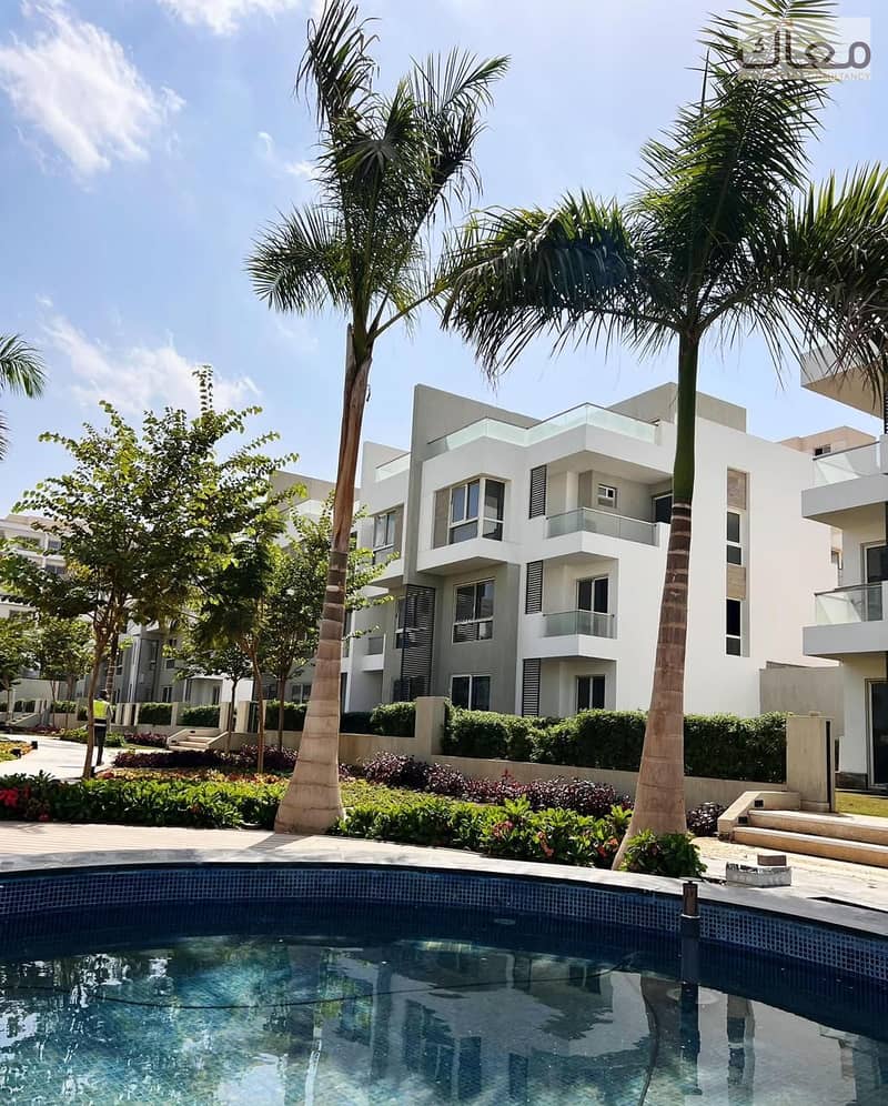 6 8b43f221-2f68-4e38-82f4-318db2472414. jpg