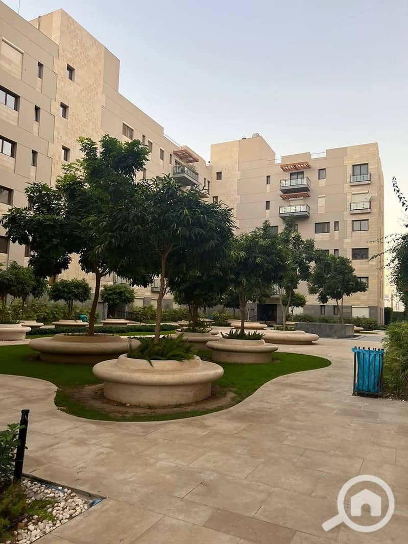 10 475996365_122209719758205660_7002560196932569978_n. jpg