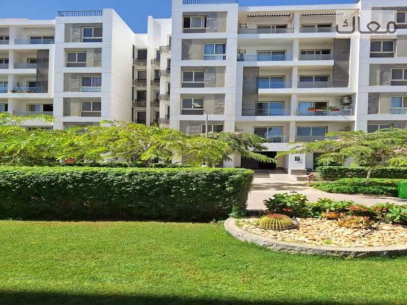 5 WhatsApp Image 2025-12-03 at 2.55. 31 AM (6). jpeg