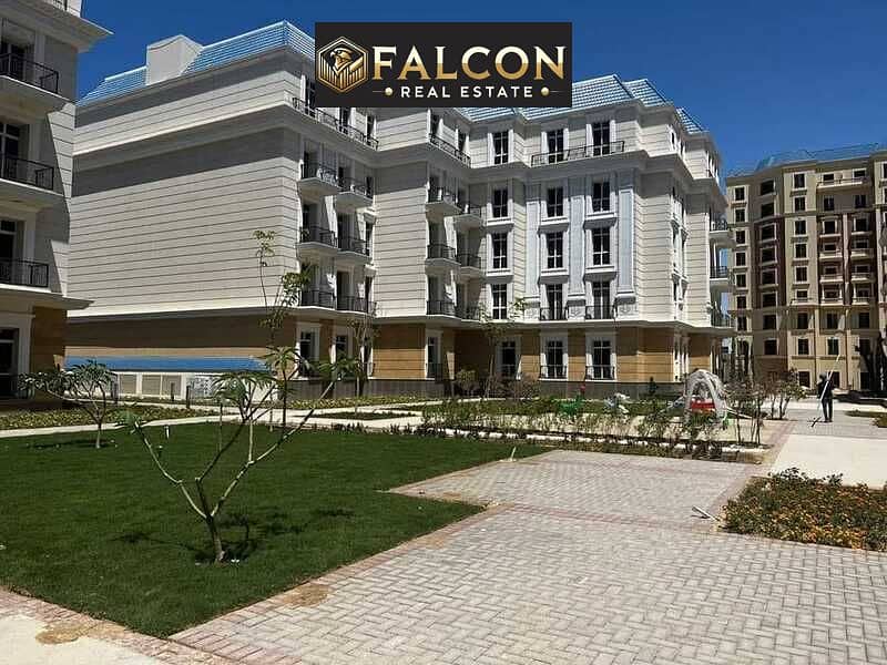 4 378386551_6747211475361127_7027471763172243723_n. jpg