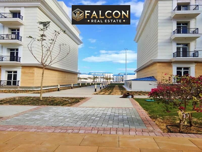 11 1234567890-=. jpg