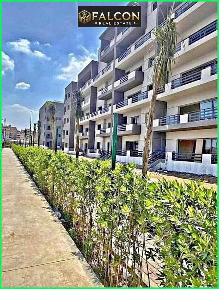 7 474190371_2564741427056045_4539727249986592165_n. jpg