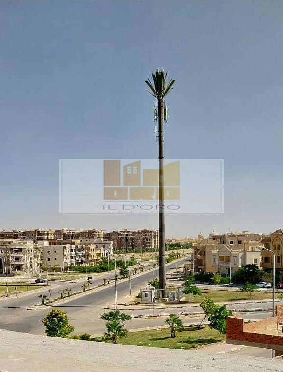 3 99f0f929-2ad0-43c5-b685-c4e6ab5e4821. jpeg