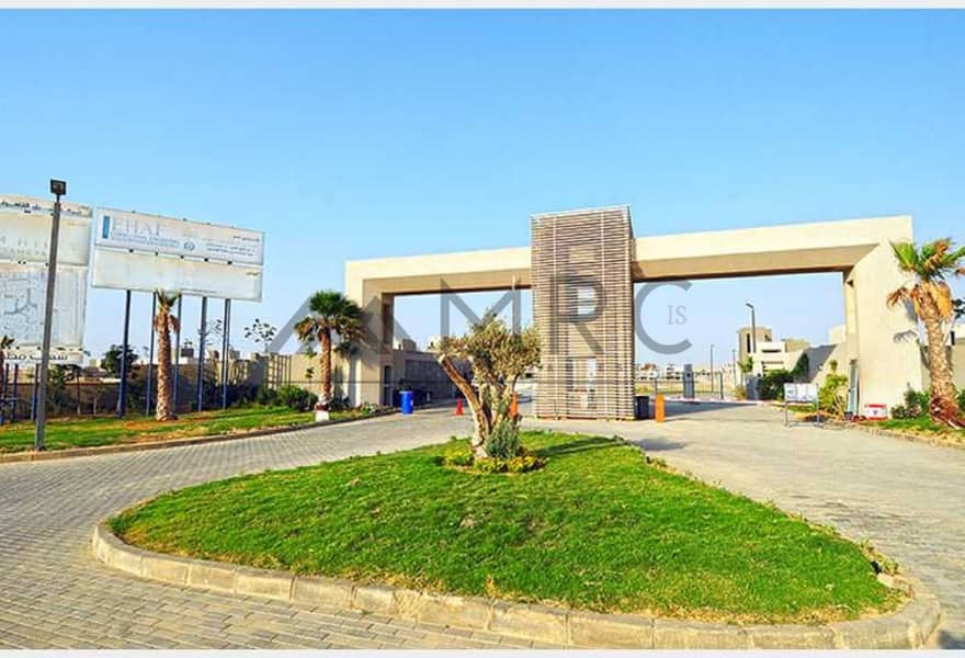 6 9169db65-1dcd-4c70-b7b4-94cd9a1d7aed. jpg