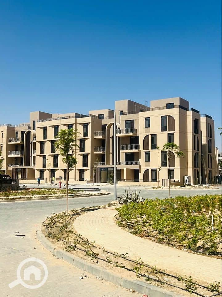 5 549807986_1990479925040276_2205555057413474426_n. jpg