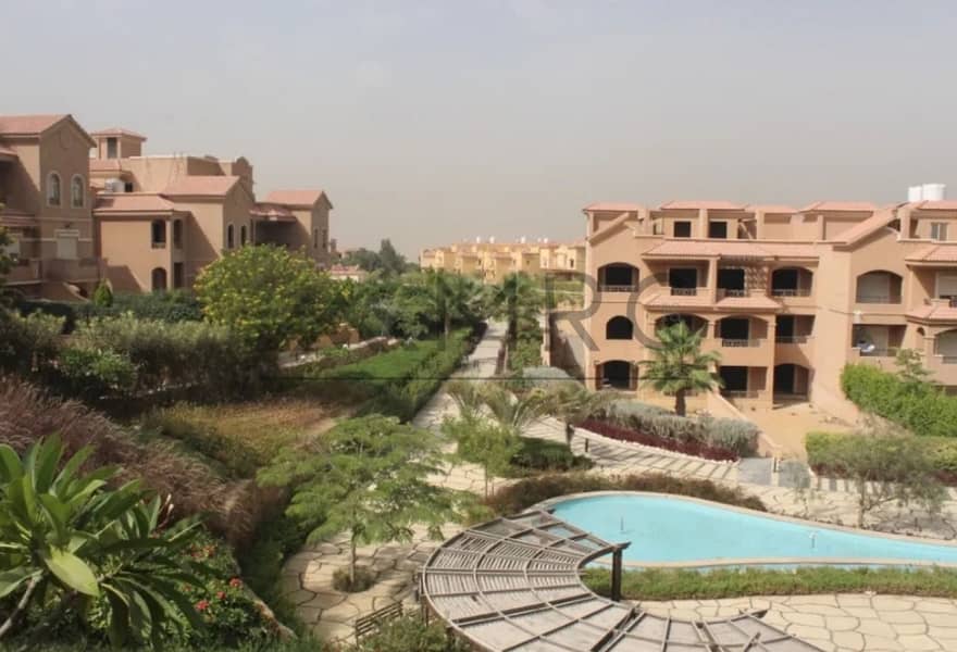 8 8ace2484-35b3-43d1-b38d-ce9c41df18e2. jpg