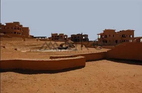 10 Screenshot_3-12-2025_134739_tse4. mm. bing. net. jpeg