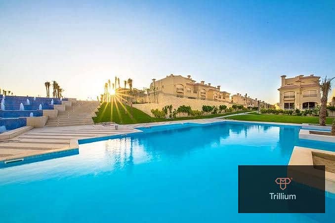 3 558904104_122170398338469000_1483442781750382376_n. jpg