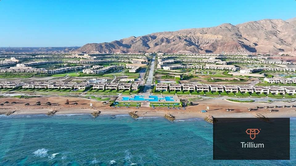 4 570311521_788991870632250_6345346040912736091_n. jpg