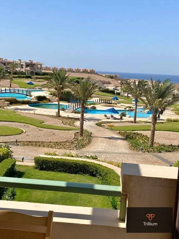 13 577032258_840686595595591_689875125473712424_n. jpg