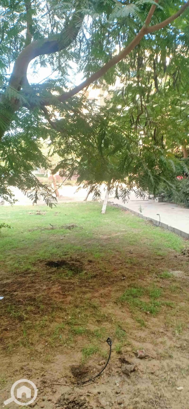 7 IMG20251202124820. jpg