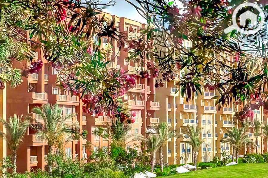 7 WhatsApp Image 2025-05-06 at 12.31. 23 PM (1). jpg