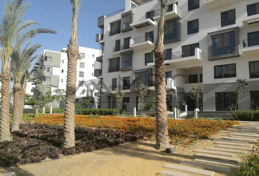 3 d4dd9691-3853-4437-b451-2e5e55f7c8ca. jpg