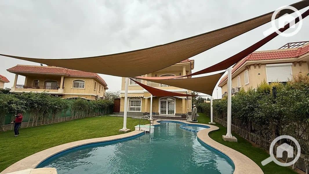 10 911fa042-578f-4dd8-8d45-ae0cc729481d. jpeg