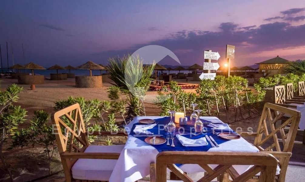 14 soma bay (42). jpeg