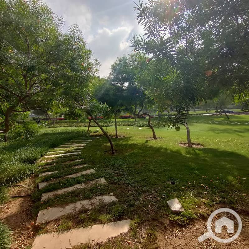 11 c1338f05-def9-4a5e-a223-2d041399e7ef. jpg