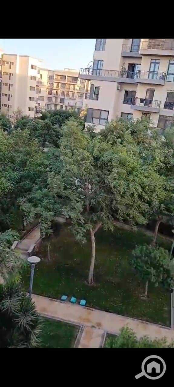 14 4865e17d-123b-4c4c-92c4-d28cf3e617cb. jpg