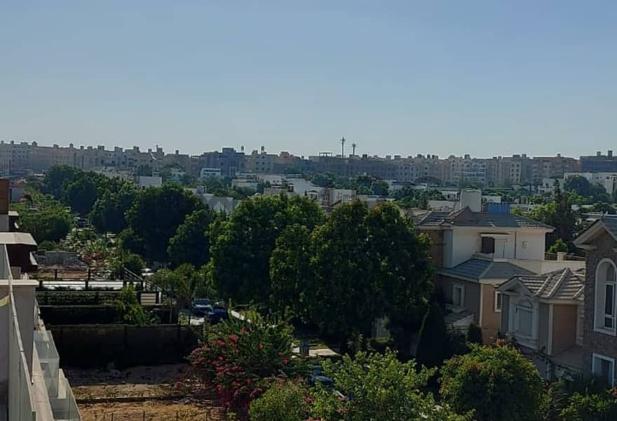 9 16b9d458-27fb-4f98-b0ce-661da19f1ee1. jpg