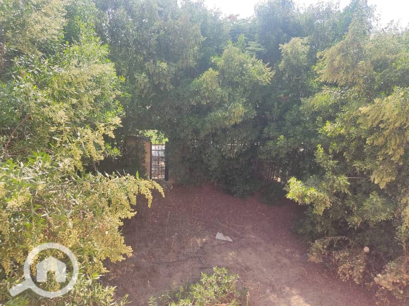 10 cb54f6df-97be-47a8-8fa8-6e05d0538268. jpg