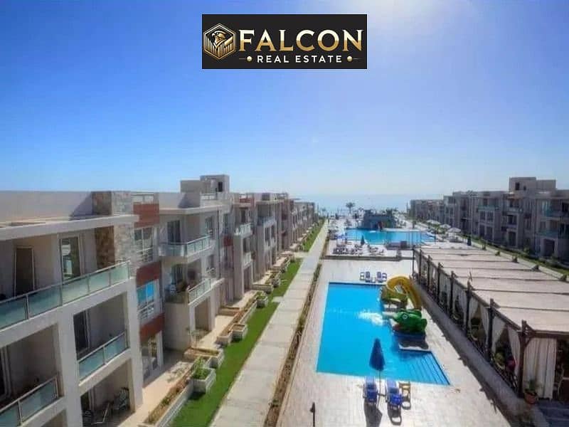 2 0cb8dd46-1ae2-4282-b198-694f495b7400. jpg