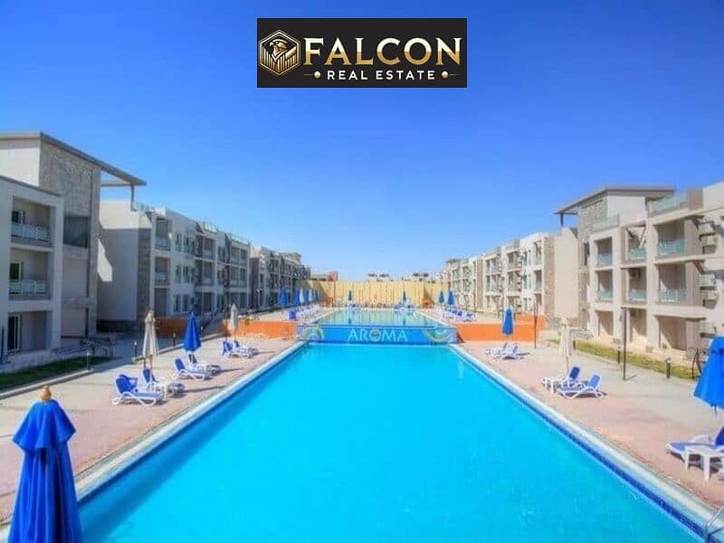 6 1305d26f-24c9-478a-860e-7ea2c2292944. jpg