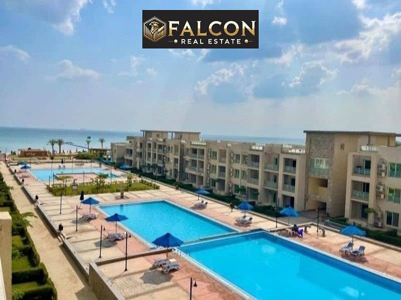 7 a5bf14c1-6405-4e36-a348-3c117849af7e. jpg