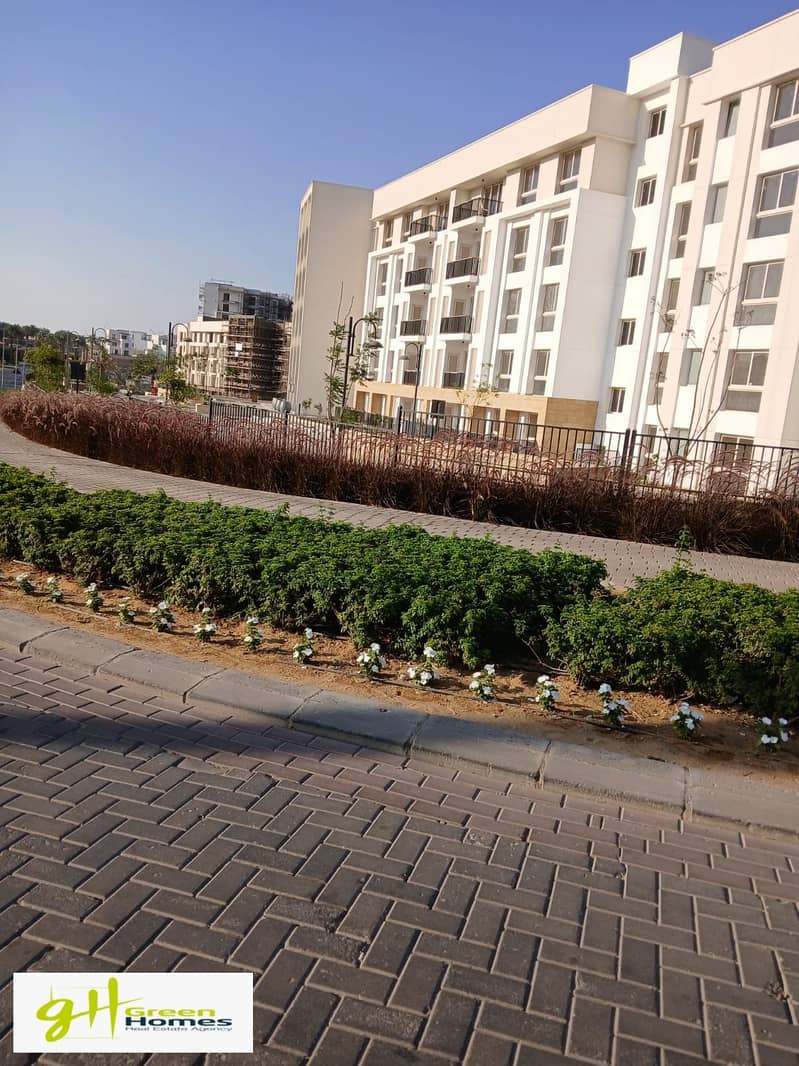 6 WhatsApp Image 2025-10-27 at 1.13. 48 PM (4). jpeg